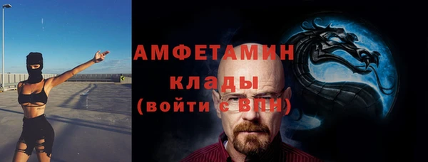 прущие грибы Балабаново