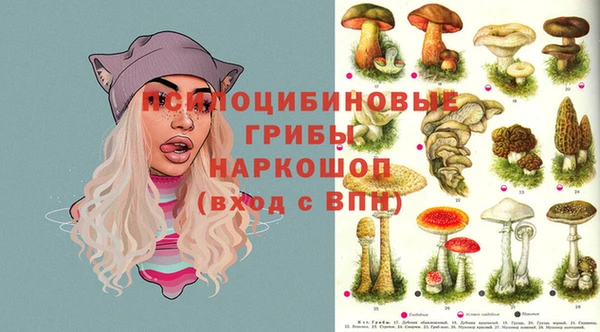 ГАЛЛЮЦИНОГЕННЫЕ ГРИБЫ Балахна