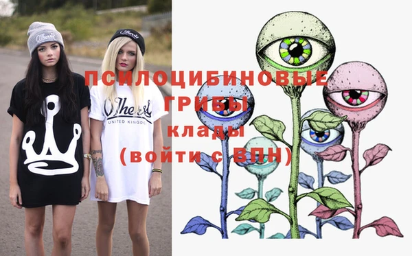 кокаин Белокуриха